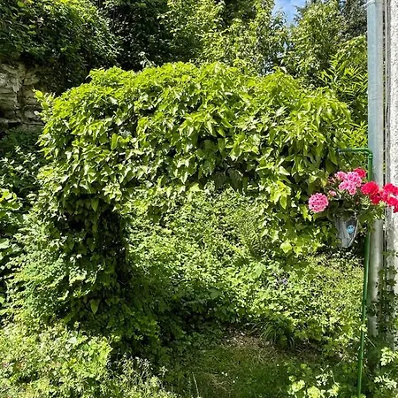 Ruhige Ferienwohnung Mit Schoener Terrasse Tybinga